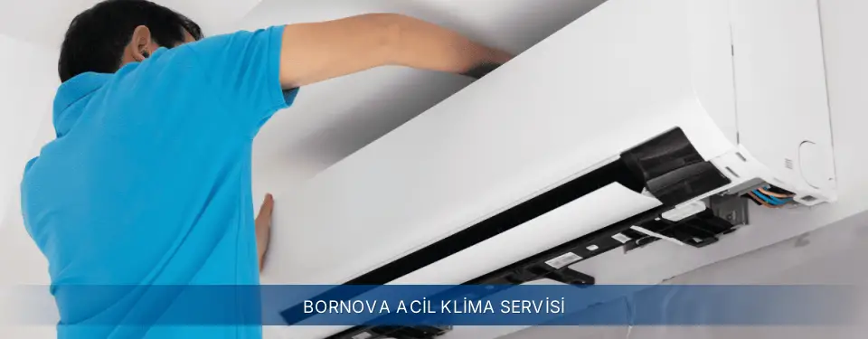Bornova İlçemi Electrolux Acil Klima Servisi