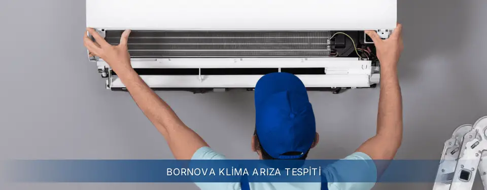 Bornova İlçemi Electrolux Klima Arıza Tespiti