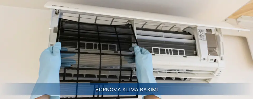 Bornova İlçemi Electrolux Klima Bakımı
