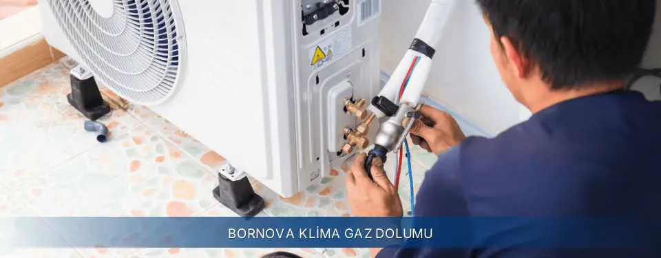 Bornova İlçemi Electrolux Klima Gaz Dolumu