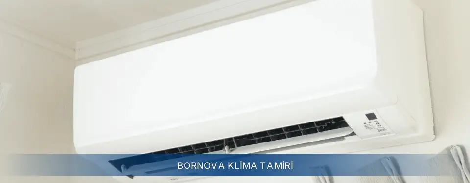 Bornova İlçemi Electrolux Klima Tamiri