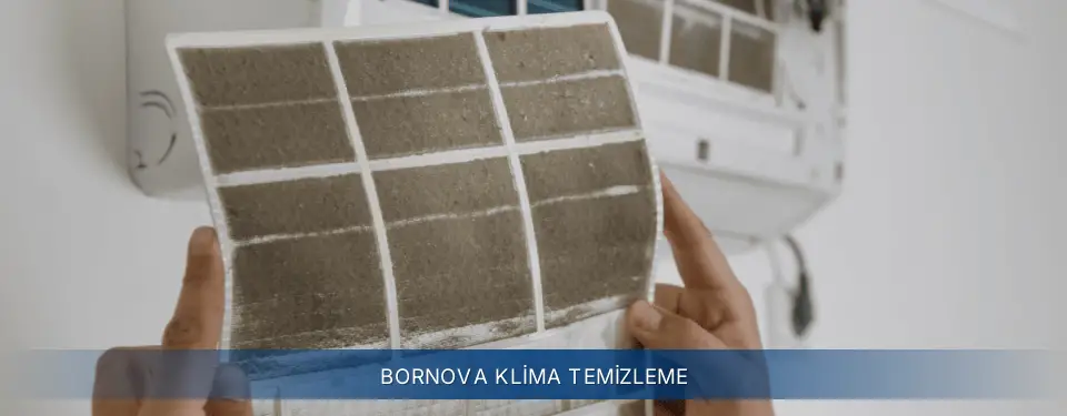Bornova İlçemi Electrolux Klima Temizleme